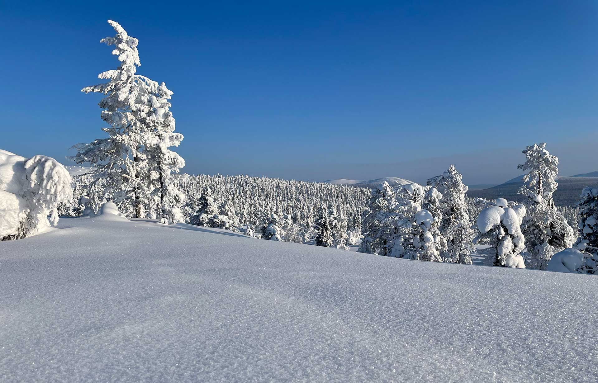 Luminen Kuertunturi Äkäslompolossa